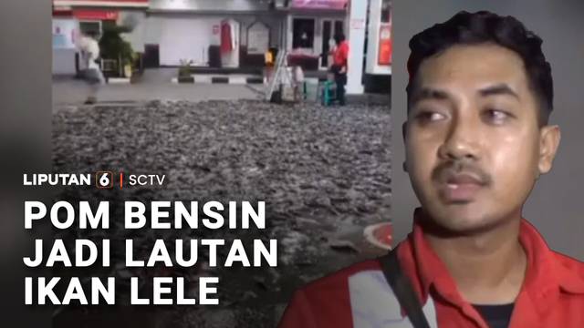 Kolam Terpal Jebol, Ribuan Lele Banjiri Pom Bensin | Liputan 6