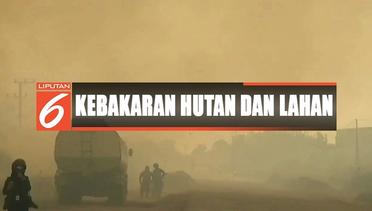 200 Hektare Lahan Gambut Terbakar di Kalteng - Liputan 6 Terkini