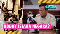 Bobby Kertanegara, Kucing Kesayangan Presiden Prabowo Pindah Ke Istana Jadi 'Kucing Kepresidenan'