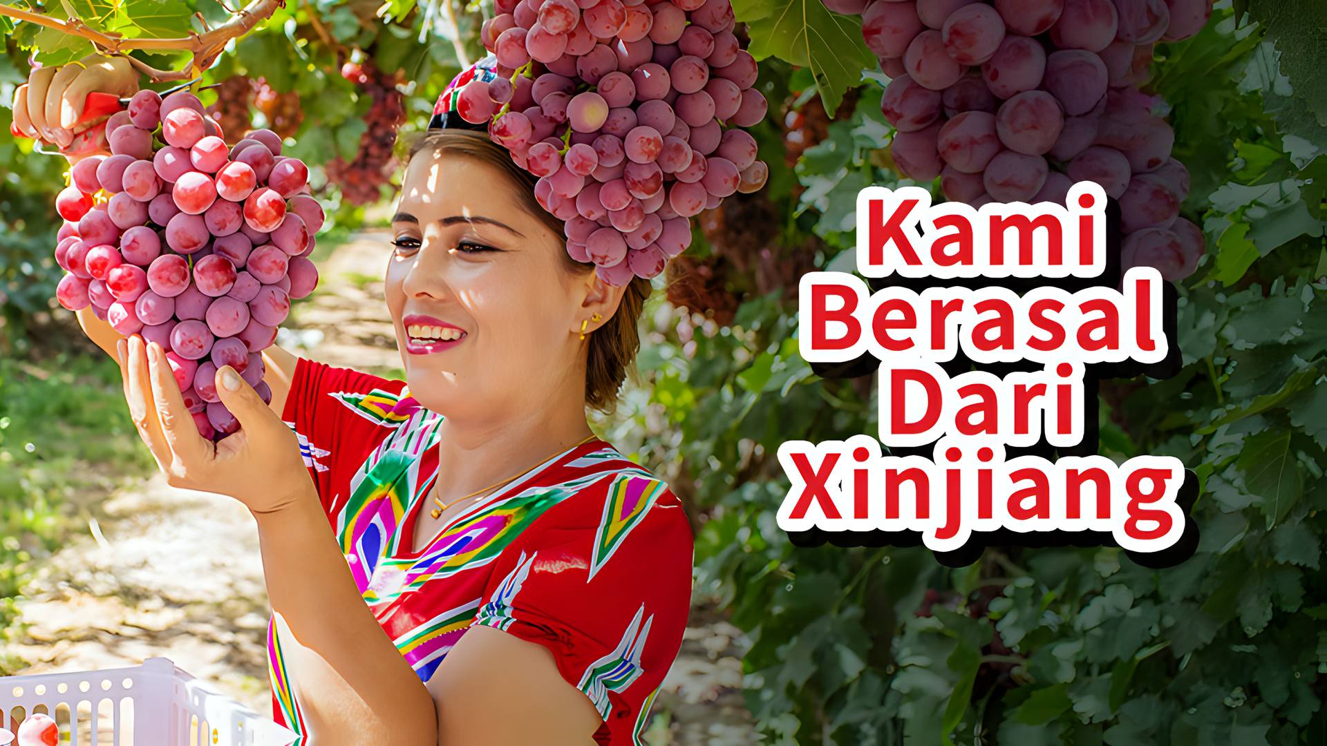 Kami Berasal dari Xinjiang