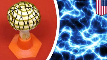 ‘Jamur Listrik’ Merubah Cahaya menjadi Energi Bersih - TomoNews