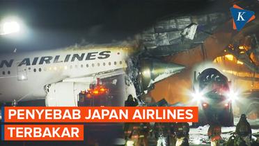 Menteri Transportasi Ungkap Penyebab Japan Airlines Terbakar