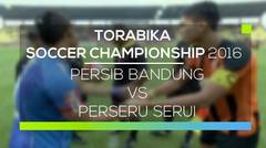 Persib Bandung vs Perseru Serui - Torabika Soccer Championship 2016