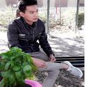 Syamsul M