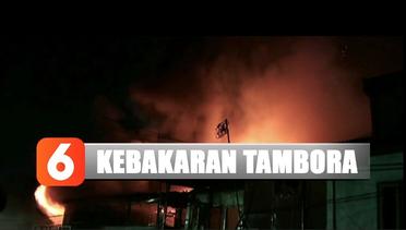 Kebakaran di Tambora, 22 Mobil Damkar Dikerahkan - Liputan 6 Siang