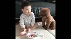 Puppy & Baby 