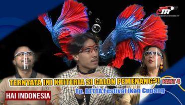 Hai Indonesia | Kriteria Ikan Cupang Ini Bisa Jadi Pemenang! | BETTA Festival Ikan Cupang Part.(4/5)