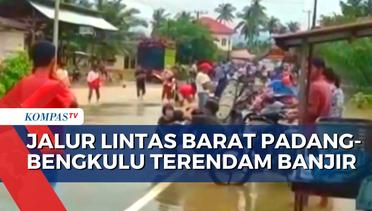 Hujan Lebat Mengguyur, Jalur Lintas Barat Padang-Bengkulu Lumpuh Terendam Banjir