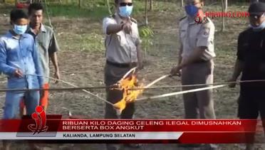 Pemusnahan Daging Celeng Di Kalianda - Lampung Selatan