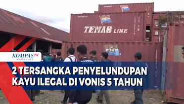 2 Tersangka Penyelundupan Kayu Ilegal Di Vonis 5 Tahun Oleh Pengadilan Negeri Makassar