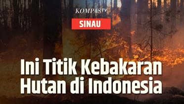 Inilah Deretan Titik Kebakaran Hutan dan Lahan yang Terjadi di Indonesia | SINAU