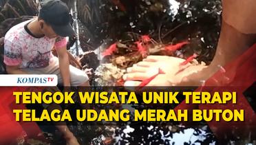 Tengok Wisata Unik Terapi di Telaga Udang Merah Buton, Sulawesi Tenggara