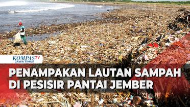 Pengunjung Pantai Pancer Jember Keluhkan Bau Tak Sedap dari Tumpukan Sampah