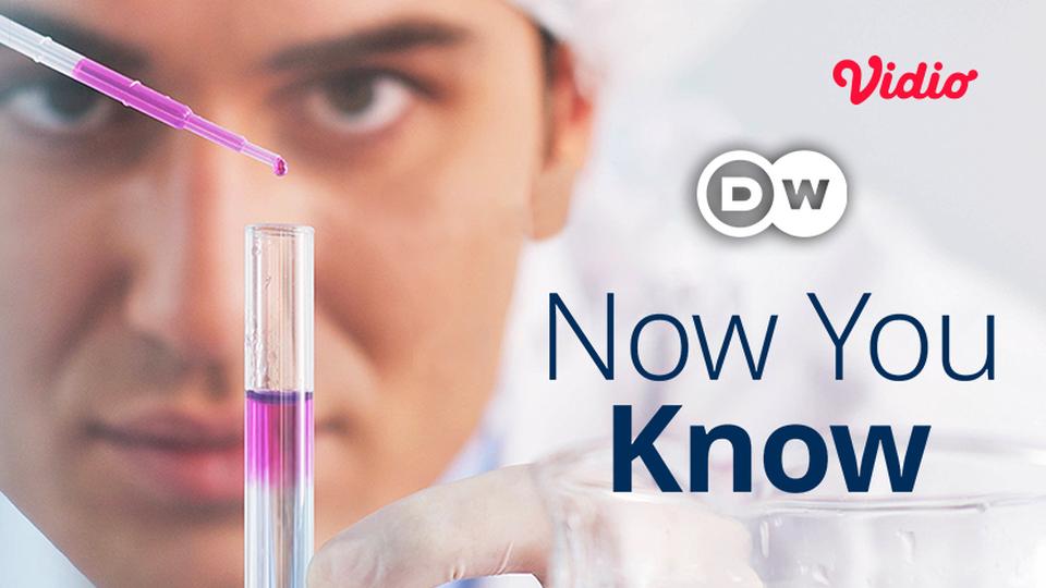 DW English - Now You Know