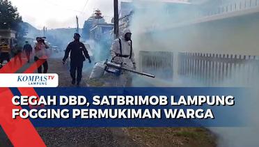 Cegah DBD, Satbrimob Lampung Fogging Permukiman Warga