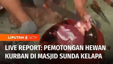 Live Report: Proses Pemotongan Hewan Kurban di Masjid Sunda Kelapa Jakarta | Liputan 6