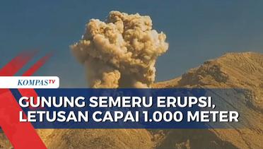Gunung Semeru Berstatus Siaga, Aktivitas Vulkanik Masih Cukup Tinggi