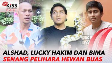 Alshad Ahmad, Lucky Hakim, Bima Aryo Senang Pelihara Hewan Buas | Kiss Pagi