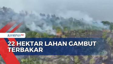 22 Hektar Lahan Gambut di Kutai Kartanegara Terbakar, Begini Kondisinya!