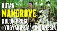 Hutan Mangrove  Kulonprogo #Yogyakarta