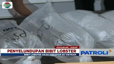 Polisi Gagalkan Penyelundupan Benih Lobster Seharga 2 Miliar – Patroli Siang