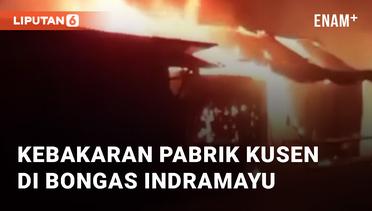 Detik-detik Kebakaran Pabrik Kusen di Bongas Indramayu