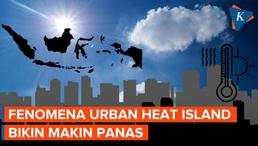 Kenapa Fenomena Urban Heat Island Sering Terjadi di Perkotaan?