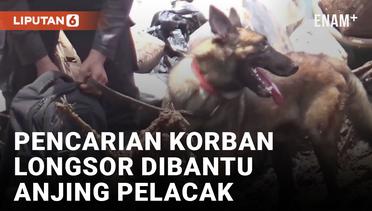 Anjing Pelacak Diterjunkan Untuk Cari Korban Longsor Bandung Barat