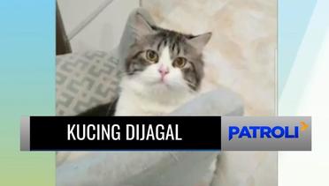 Kucing Dicuri dan Dijagal untuk Dimakan di Medan, Polisi Bongkar Kuburan Hewan Peliharaan Itu | Patroli