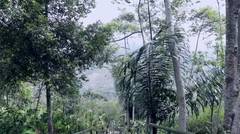 Situs Gunung Padang