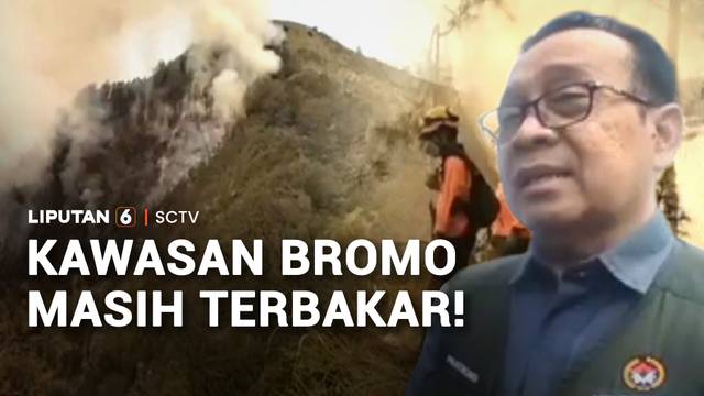 Berpacu dengan Waktu, Perjuangan Petugas Padamkan Karhutla di Bromo | Liputan 6