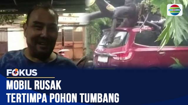 Mobil Rusak Parah Akibat Tertimpa Pohon Tumbang Usai Diterjang Angin Kencang | Fokus