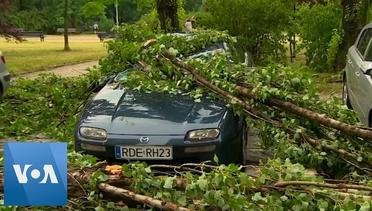 Trees Downed, Cars Damaged in Heavy Storms in Poland