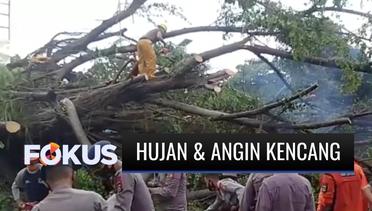 Hujan dan Angin Kencang di Serang, Dua Pohon Besar Tumbang hingga Timpa Sebuah Angkot | Fokus