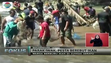 Ribuan Warga Lakukan Parak Iwak di Sungai Serayu, Banjarnegara - Fokus Sore
