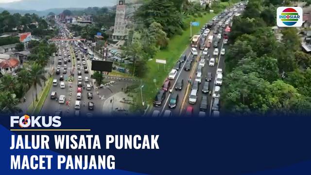Jalur Wisata Puncak Macet Panjang | Fokus