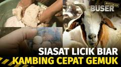 Parah! Gemuk Palsu Kambing Kurban karena Pake Ragi | Buser Investigasi
