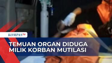Polisi Akan Tes DNA untuk Identifikasi Temuan Organ di Sekitar Korban Mutilasi di Yogyakarta
