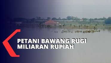 Petani Bawang Rugi Miliaran Rupiah Akibat Banjir