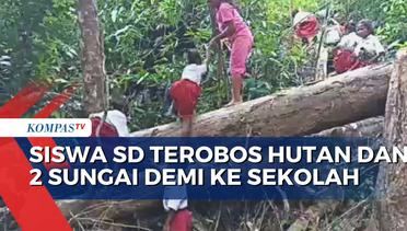 Siswa di Sikka Masih Bertaruh Nyawa ke Sekolah, Bupati: Sedang Dibangun Infrastruktur, Anggaran...