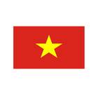 Timnas Vietnam U19