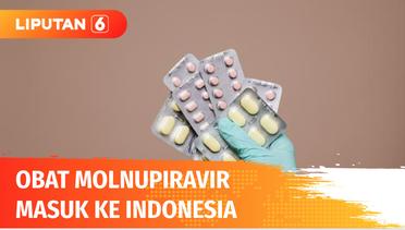 Kabar Gembira! Obat Covid-19 Molnupiravir Akan Masuk ke Indonesia Akhir Tahun Ini | Liputan 6