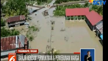 Banjir di Pasangkayu Putus Perekonomian Warga, Pemerintah Diminta Segera Bertindak - Liputan 6 Siang