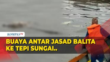 Viral! Buaya di Sungai Mahakam Antar Jasad Balita Tenggelam ke Tepian Sungai