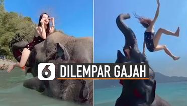 Kocak, Perempuan Berpose di Atas Belalai Gajah Akhirnya Mengejutkan