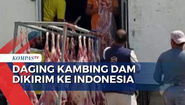 Untuk Transparansi, 4 Juta Kantong Daging Kambing Kurban dan Dam Jemaah Haji Dikirim ke indonesia