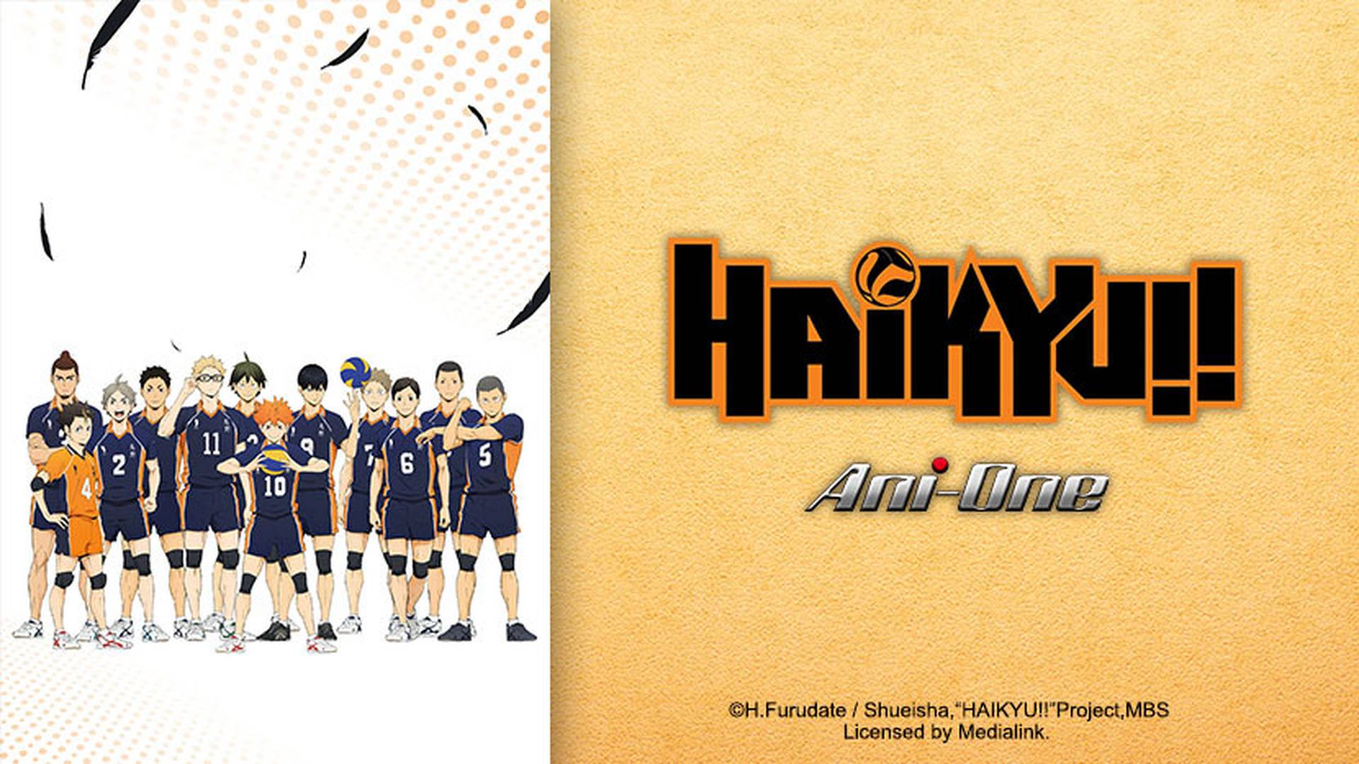 Haikyuu!!