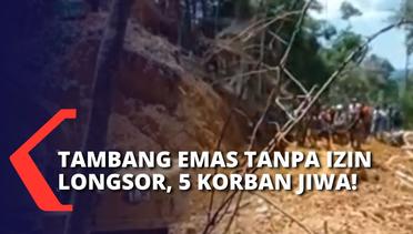 5 Pekerja Jadi Korban Jiwa Tambang Emas Longsor di Kalimantan Barat
