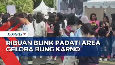 Malam Ini Blackpink Guncang Jakarta, Ribuan Blink Padati GBK!