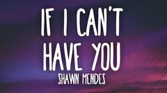 Shawn Mendes - If I Cant Have You (Lyrics)
